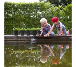 Artstone Kunststoff-Blumentopf Claire, rund