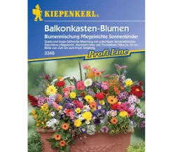 Balkonkasten-Blumen Mix, Saatgut von Kiepenkerl