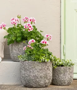 Beet- & Balkonpflanzen-Set Balkonidylle, 6-teilig