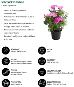 Beet- & Balkonpflanzen-Set Naturgarten, 6-teilig