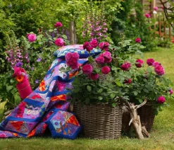 Beetrose 'Kaffe Fassett®'