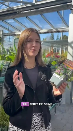 Bio Cambridge Storchschnabel 'Karmina'