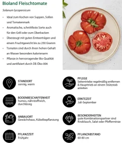 Bioland Fleischtomate