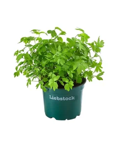 Bioland Liebstöckel