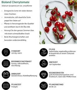 Bioland Gemüseset Gemüsetraum, 6-teilig