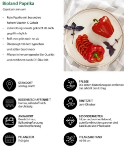 Bioland Paprika, rot