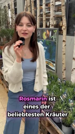 Bio Rosmarin