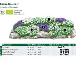 Bio Stauden-Set Alpengarten, 12-teilig