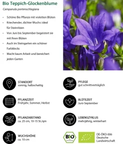 Bio Stauden-Set Alpengarten, 12-teilig