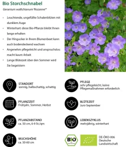 Bio Stauden-Set Blaue Stunde, Landlust Kollektion, 24-teilig