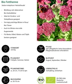 Bio Stauden-Set Blütenkollektion, Landlust Kollektion, 24-teilig