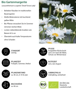 Bio Stauden-Set Einsteiger-Blütenmix, 24-teilig