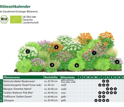 Bio Stauden-Set Einsteiger-Blütenmix, 24-teilig