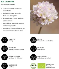 Bio Stauden-Set Großer Alpengarten, 24-teilig
