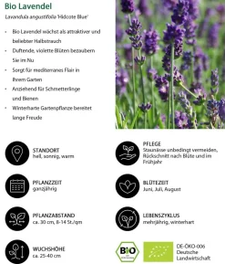 Bio Stauden-Set Insektenparadies Biene, 12-teilig