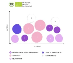 Bio Stauden-Set Insektenparadies Biene, 12-teilig