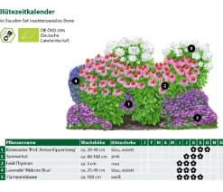 Bio Stauden-Set Insektenparadies Biene, 12-teilig