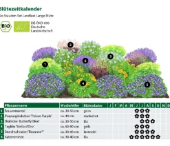 Bio Stauden-Set Lange Blüte, Landlust Kollektion, 18-teilig