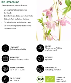 Bio Stauden-Set Schattengarten Rote Akzente, 12-teilig