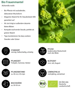 Bio Stauden-Set Schattengarten, 12-teilig