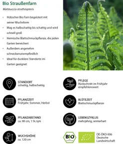 Bio Stauden-Set Schattenparadies, 18-teilig