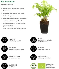 Bio Stauden-Set Schattenparadies, 18-teilig