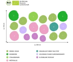 Bio Stauden-Set Schattenparadies, 18-teilig