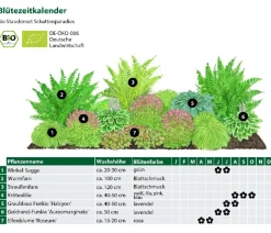 Bio Stauden-Set Schattenparadies, 18-teilig
