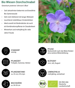 Bio Stauden-Set Sommerglück, 24-teilig
