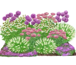 Bio Stauden-Set Sonnenzeit, Landlust Kollektion, 18-teilig