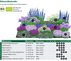 Bio Stauden-Set Weiß-blaues Gartenparadies, 24-teilig