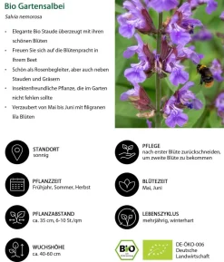 Bio Stauden-Set Weiß-blaues Gartenparadies, 24-teilig