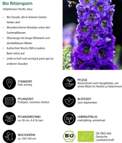 Bio Stauden-Set Weiß-blaues Gartenparadies, 24-teilig
