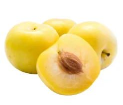 Bio Zwetschge 'Oullins Reneklode'