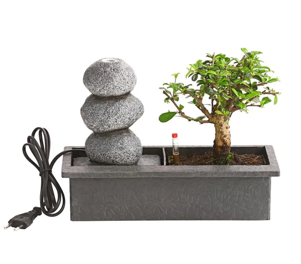Bonsai, mit Brunnen