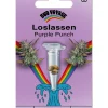 Bud Voyage Hanfsamen Loslassen Purple Punch, 3 Stk.