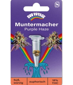 Bud Voyage Hanfsamen Muntermacher Purple Haze, 3 Stk.