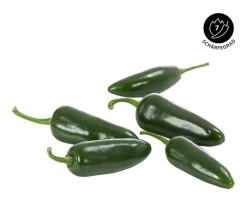 Chili 'Jalapeño'
