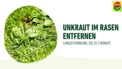 COMPO Rasendünger plus Unkrautvernichter