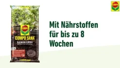 COMPO SANA® Bonsaierde, 5 l