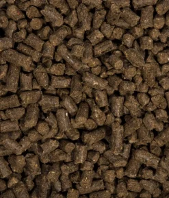 COMPO BIO Universal Langzeit-Dünger mit Schafwolle, 2 kg