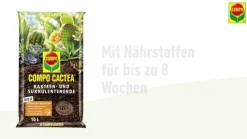 COMPO CACTEA® Kakteen- und Sukkulentenerde, 5 l