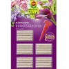 COMPO Düngestäbchen für Blühpflanzen, 30 Stk.