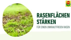 COMPO Rasendünger Unkraut & Moos Nein danke!, 1,3 l