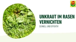 COMPO Rasenunkraut-Vernichter Banvel® Quattro, 1 Liter