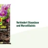 COMPO SANA® Orchideenerde, 5 l