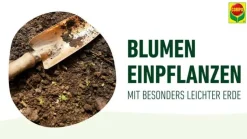 COMPO Sana® Qualitäts-Blumenerde 50% weniger Gewicht