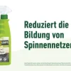 COMPO Spinnen-Raus, 750 ml