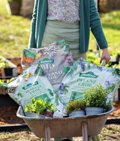 Dehner Bio Universal-Erde, 40 l