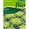 Dehner Bio-Samen Endivien 'Nuance'